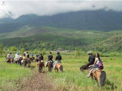 安化黑茶为何是世界主要博物馆唯一收藏的中国茶叶？