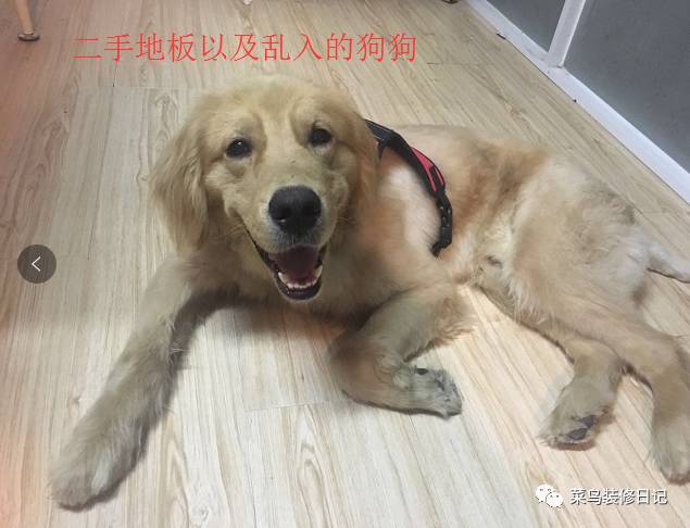 地板翻新多少錢(qián)一平方_木地板翻新多少錢(qián)一平方_淮安地板翻新