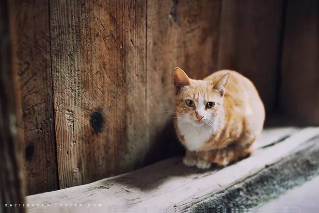 你说，开心跟钱，究竟有没有关系？