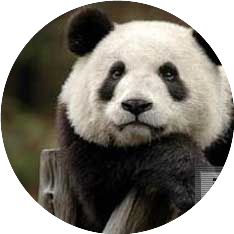 森情视觉文化艺术空间