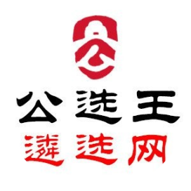 公选王遴选网
