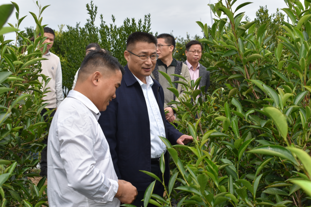 谢桂坤寄语江屯镇加快茶旅融合打响广宁茶招牌