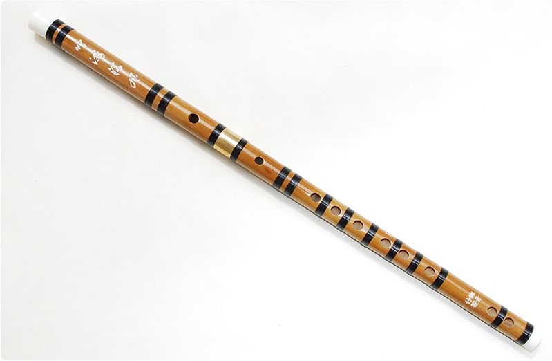 张维良《笛子入门教程》丨笛子的种类