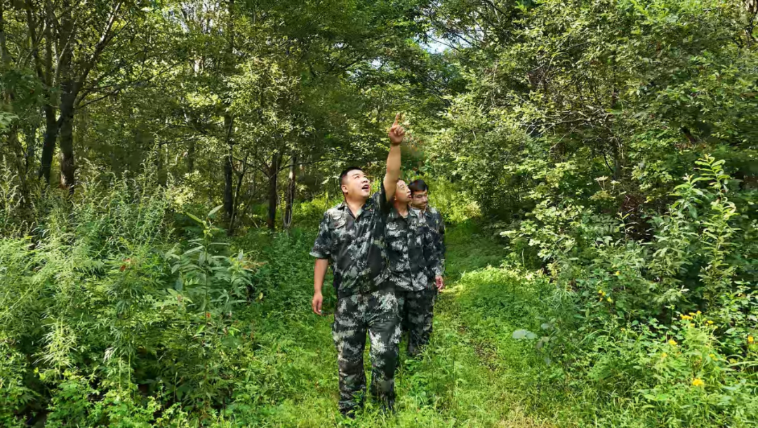 微信图片_20260824152633_160_32.png