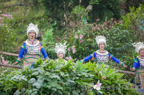 芋头古侗寨在哪里_芋头古侗寨_芋头古侗寨好玩吗