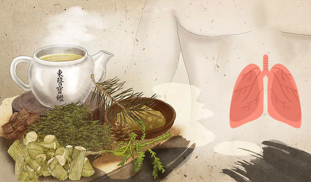 秋后养生，重在养肺！教你两个中医养生食疗方！