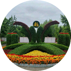 二中浇花人