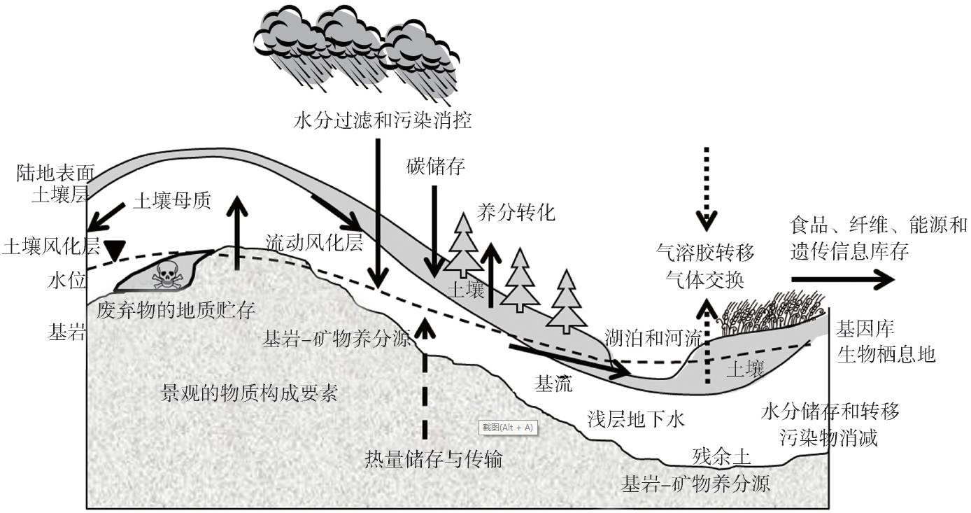 土壤安全:从地球关键带到生态系统服务