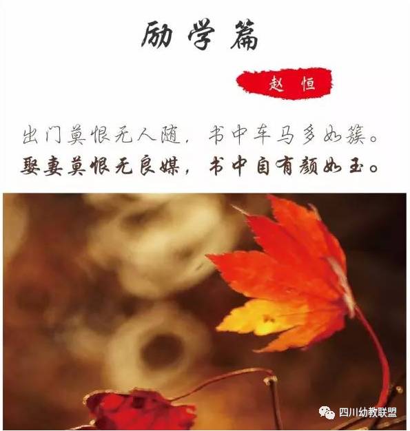 多情自古空余恨下一句_多情空余恨歌词_多情空余恨不如常怀念