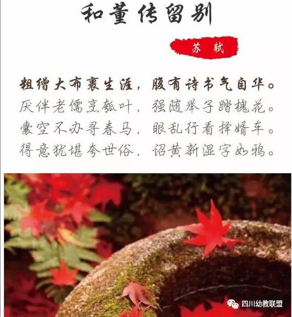 多情自古空余恨下一句_多情空余恨不如常怀念_多情空余恨歌词