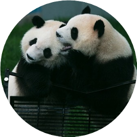 鄂尔多斯动物园