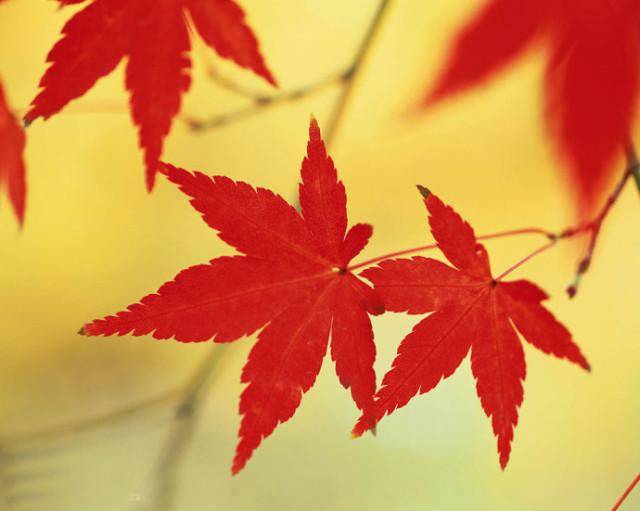 链家网技术总监陈尔冬：链家网的第三种运维插图(7)