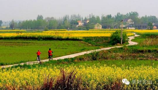 老鹅汤美食节开幕式节目单大放送