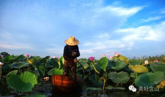 老鹅汤美食节开幕式节目单大放送