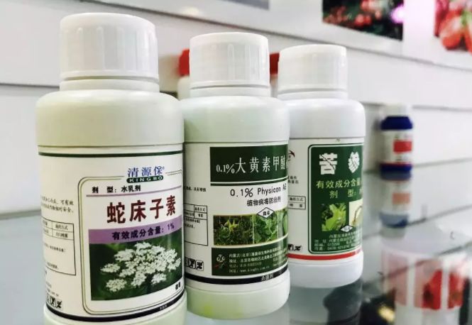 在阳台种植蔬菜的朋友,请这样使用农药_吾谷网