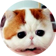 大爱猫咪控