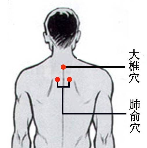 肺的经气在背后有一个最大的聚集