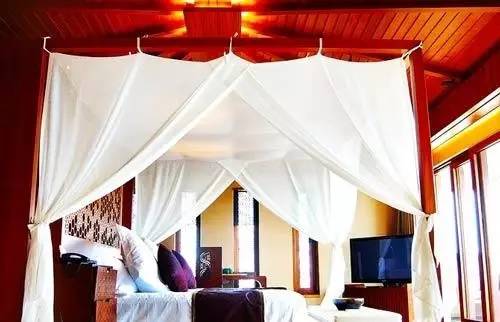 豪宅大揭秘，养鲸鱼、住古堡、高安保……你想得到吗？