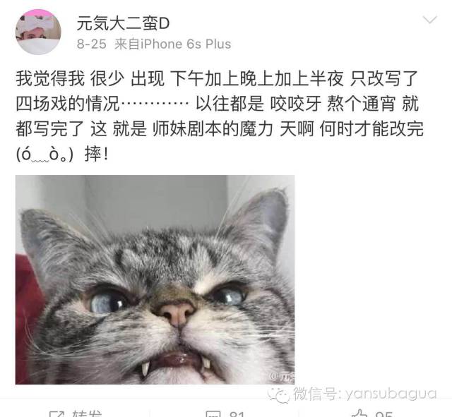 张靓颖曾说：女人都希望自己是蠢货但蠢爱会好吗?