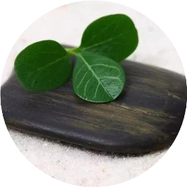 茶语饭后三人行