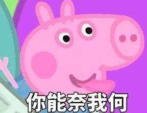 我们坚持认为,一张优秀的表情,应该是一幅艺术品,是那忽如动态表情包兰兰无话可说图片