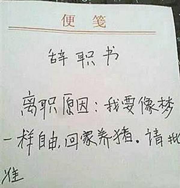 一个南宁打工妹的辞职信火了:对不起老板,我要辞职回农村了!