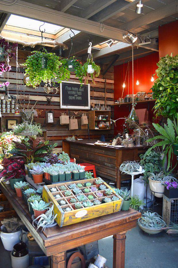 女人千万不要开花店，因为......