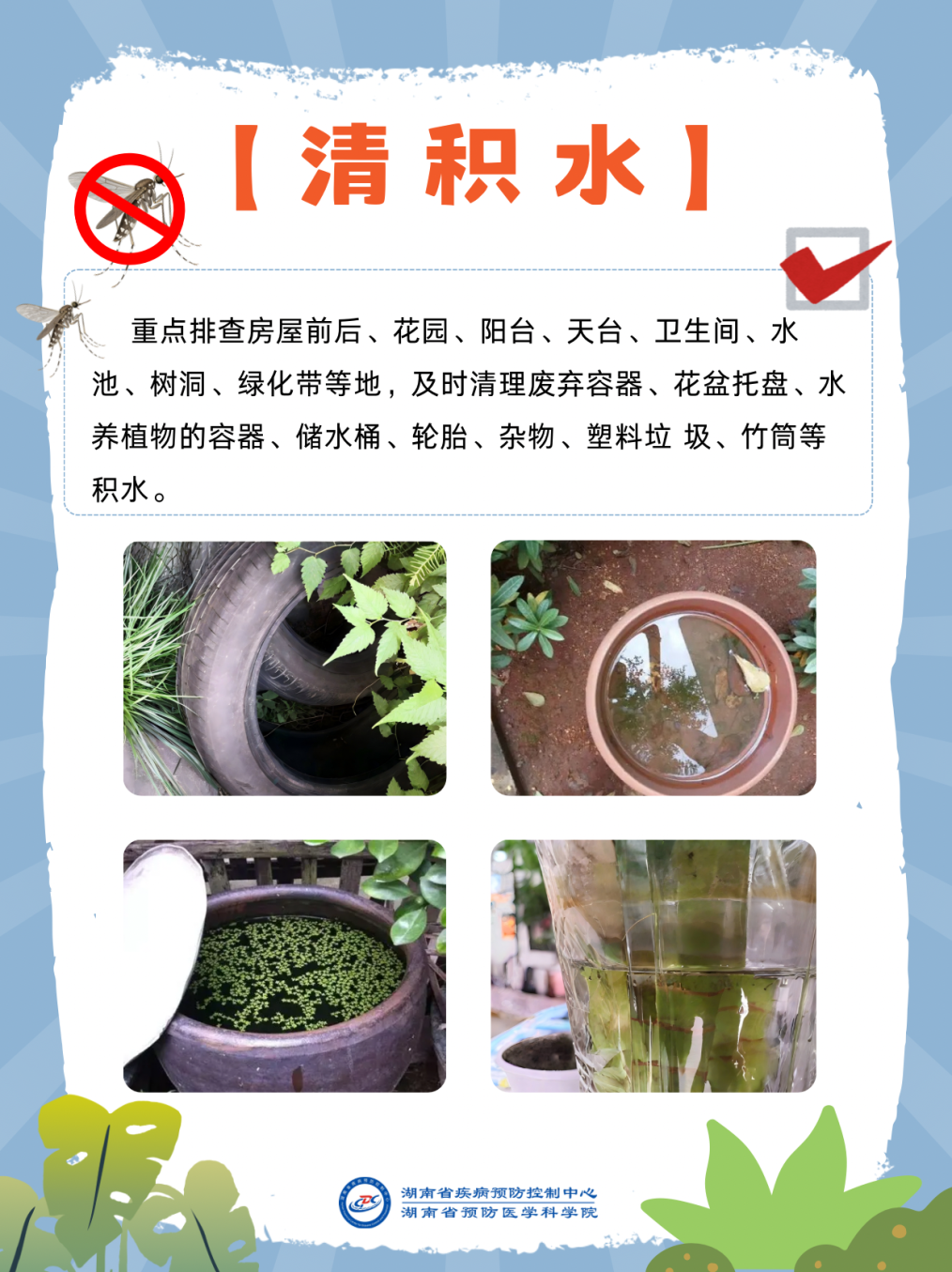 3-预防基孔肯雅热做好关键三点.png