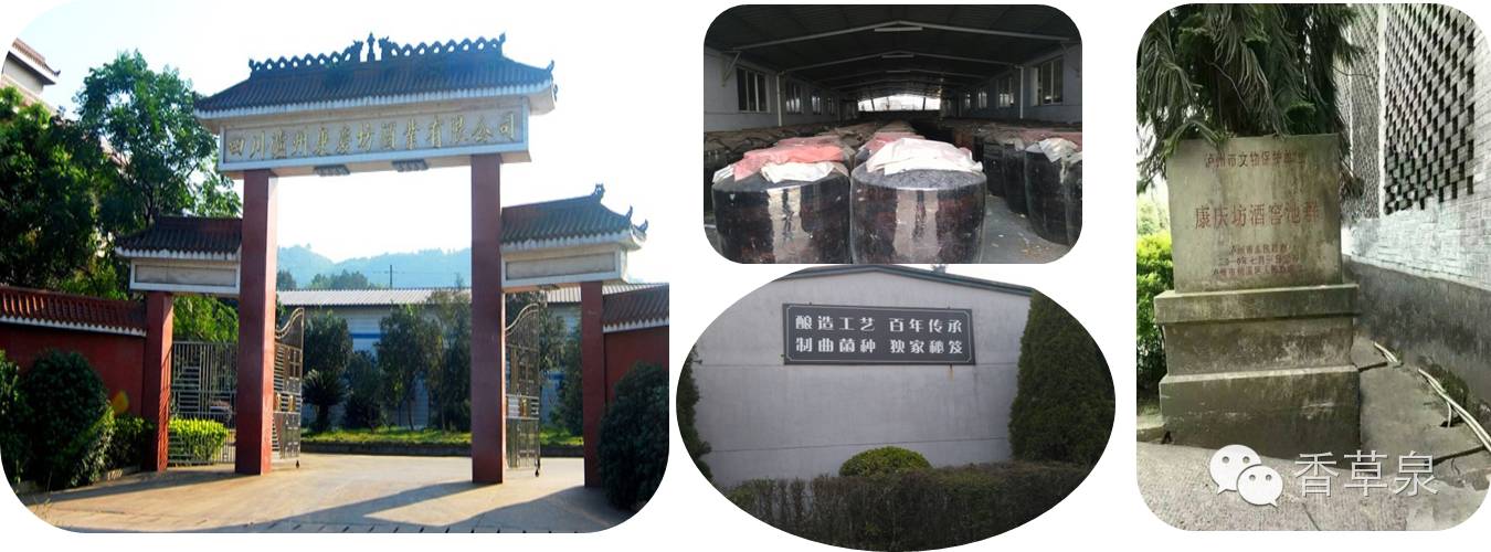 ser氨基酸_氨基酸与游离氨基酸_ser氨基酸