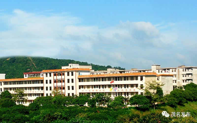 化州市合江中学通讯员 梁绍聂 摄化州市那务中学通讯员 刘永生 摄