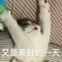 动画表情