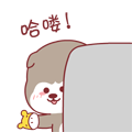 小哈皮12