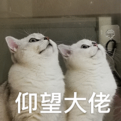 动画表情