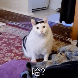 640 (44).gif