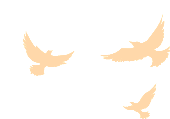 筑梦启程|珠海UED官网2025迎新晚会暨2024年度表彰大会