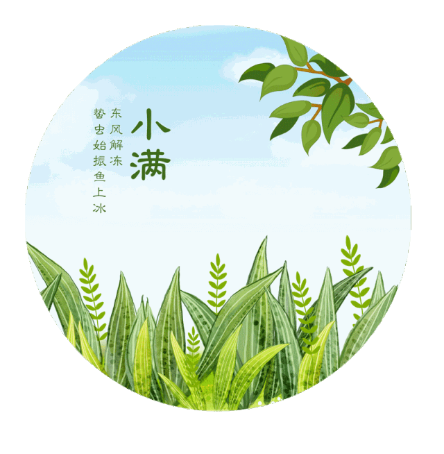 小满时节祝你快乐