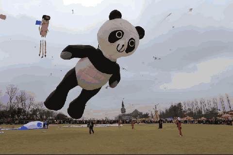您也可以自带diy的风筝约上小朋友一起徜徉在花海之中活动现场还有