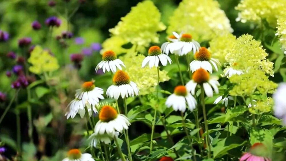 周四，祝福：祝您秋日安康！