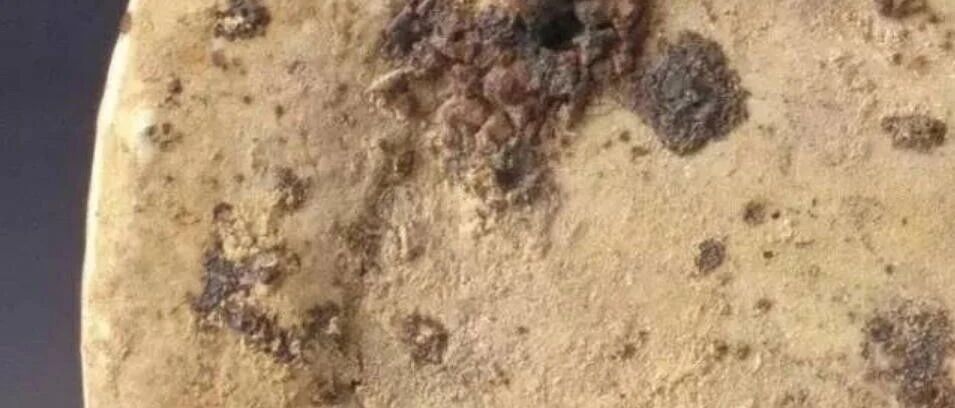 ղرؿԪ໨̥ϻֱ仯֪һ֣ͼƬ