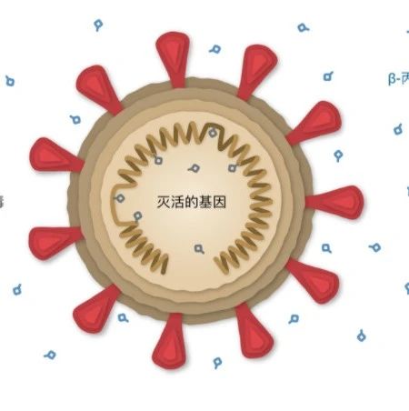 科兴新冠疫苗成分