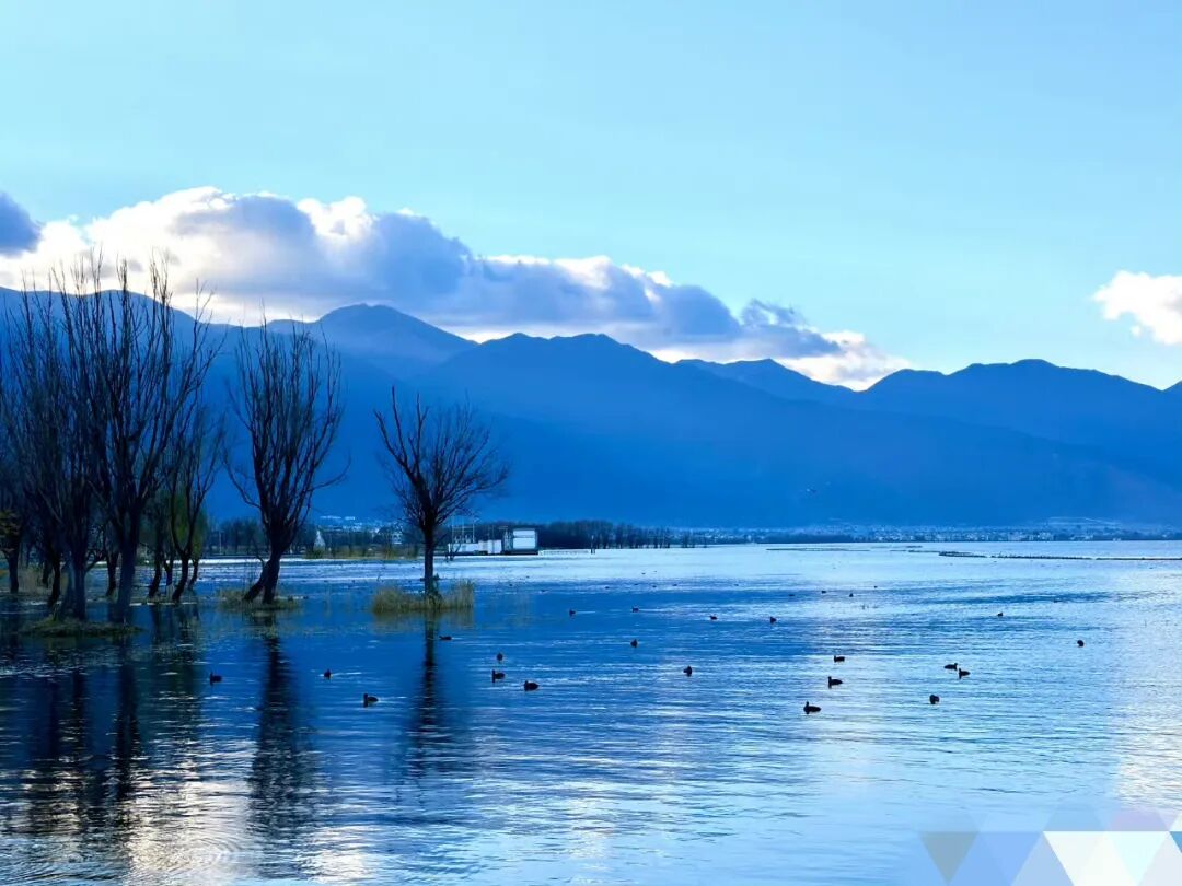 致关注格鲁吉亚业务的朋友们的一条问候