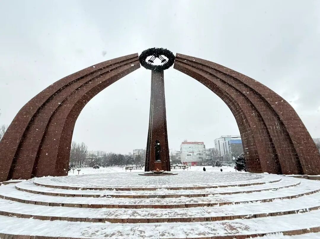 卵巢早衰/子宫切除者的生育曙光：吉尔吉斯助孕实操指南