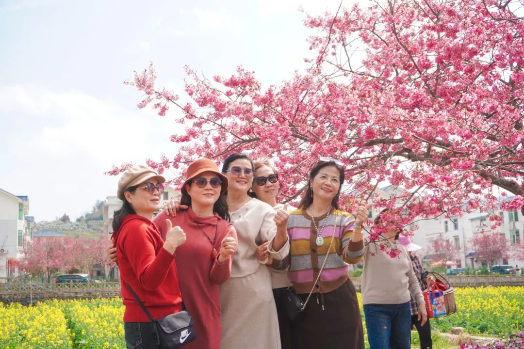 坪盘油菜花迎春盛放，金黄遍野引客来，游客们穿梭田间拍照打卡，定格春日盛景3。(黄震摄）.JPG