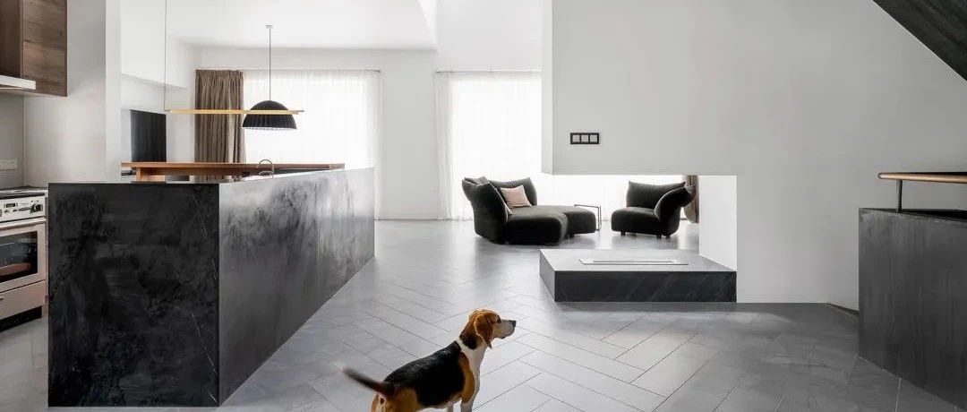 黑白极简，两人一狗的超现代风格别墅