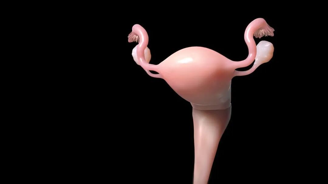 穿越十二年的期盼:一例继发不孕症患者的成功破局之路