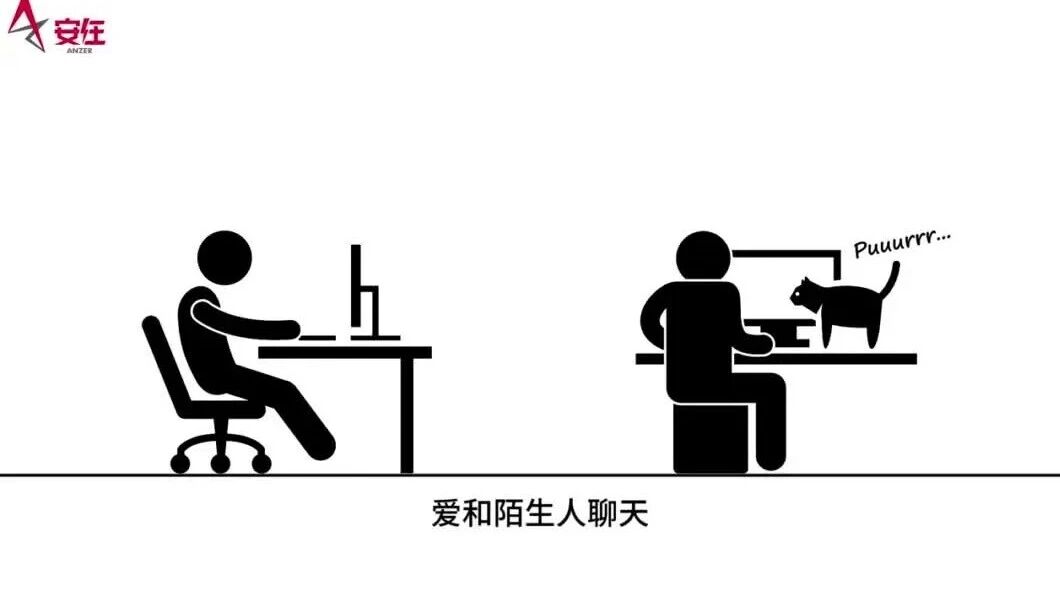  您的浏览器不支持 video 标签 