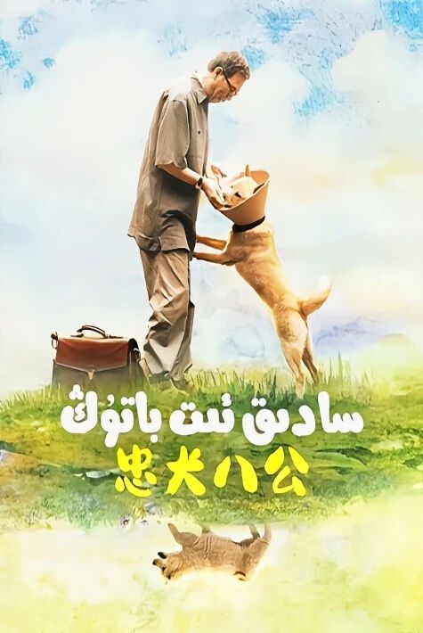 سادىق ئىت بوتۇڭ	