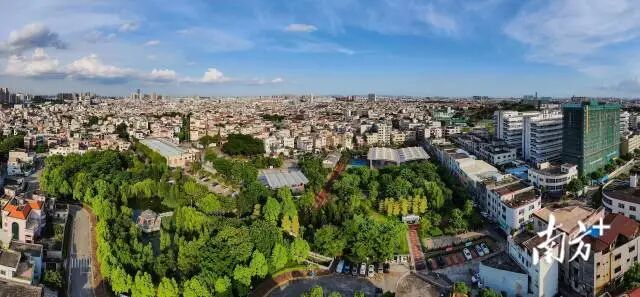 2024年，永宁社区村集体收入达4.2亿元，社区居民每股分红超1.2万元。叶志文 摄