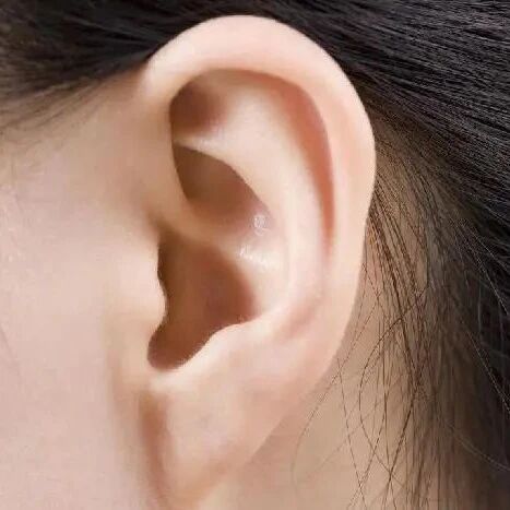 耳相看福禄：耳轮聚气、耳廓藏精