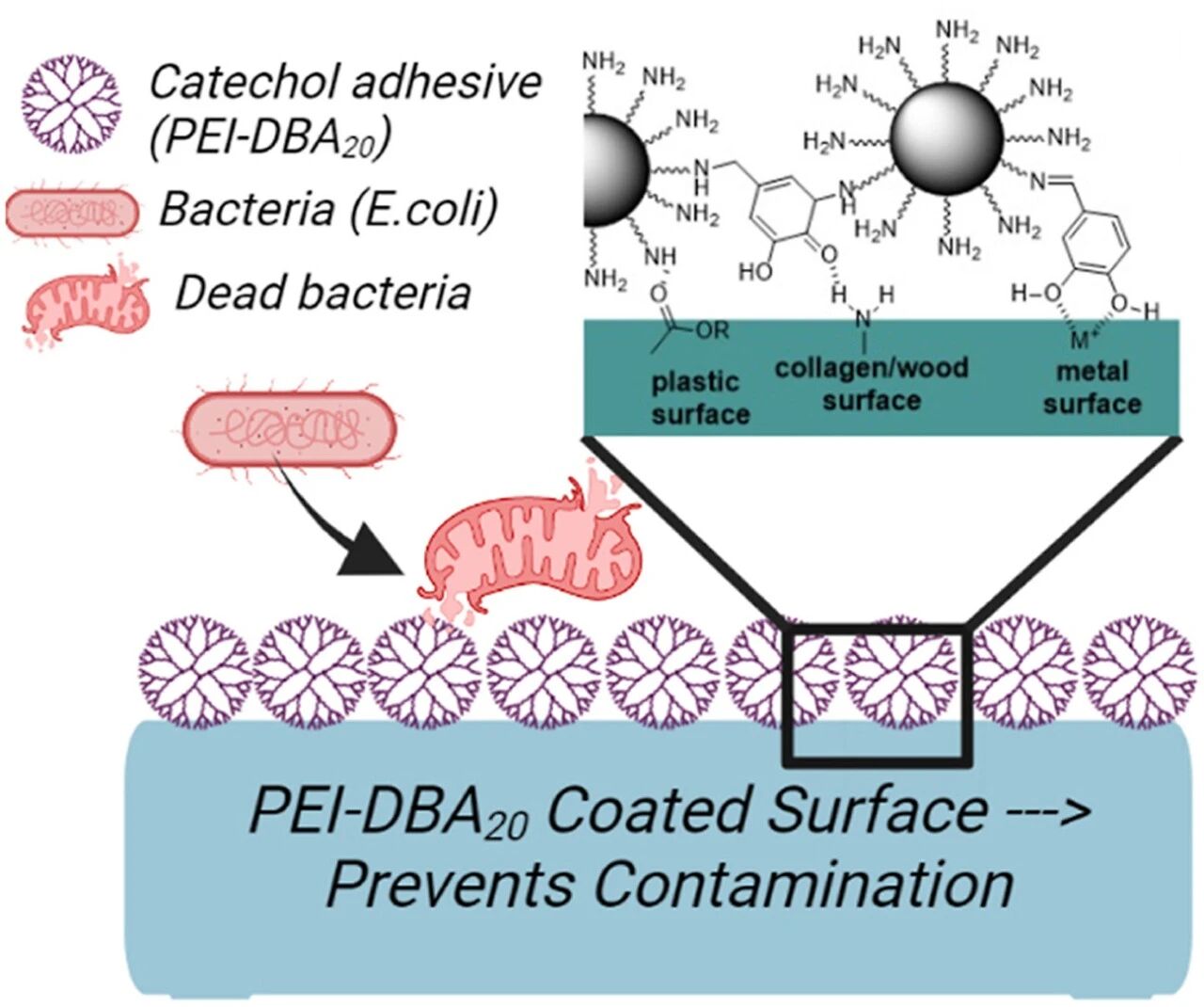 Materials Today：体心立方高熵合金的局部化学涨落介导的塑性(实验,特征) AI牛丝
